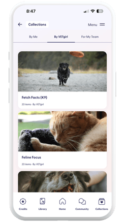 vital_Collections_By VETgirl